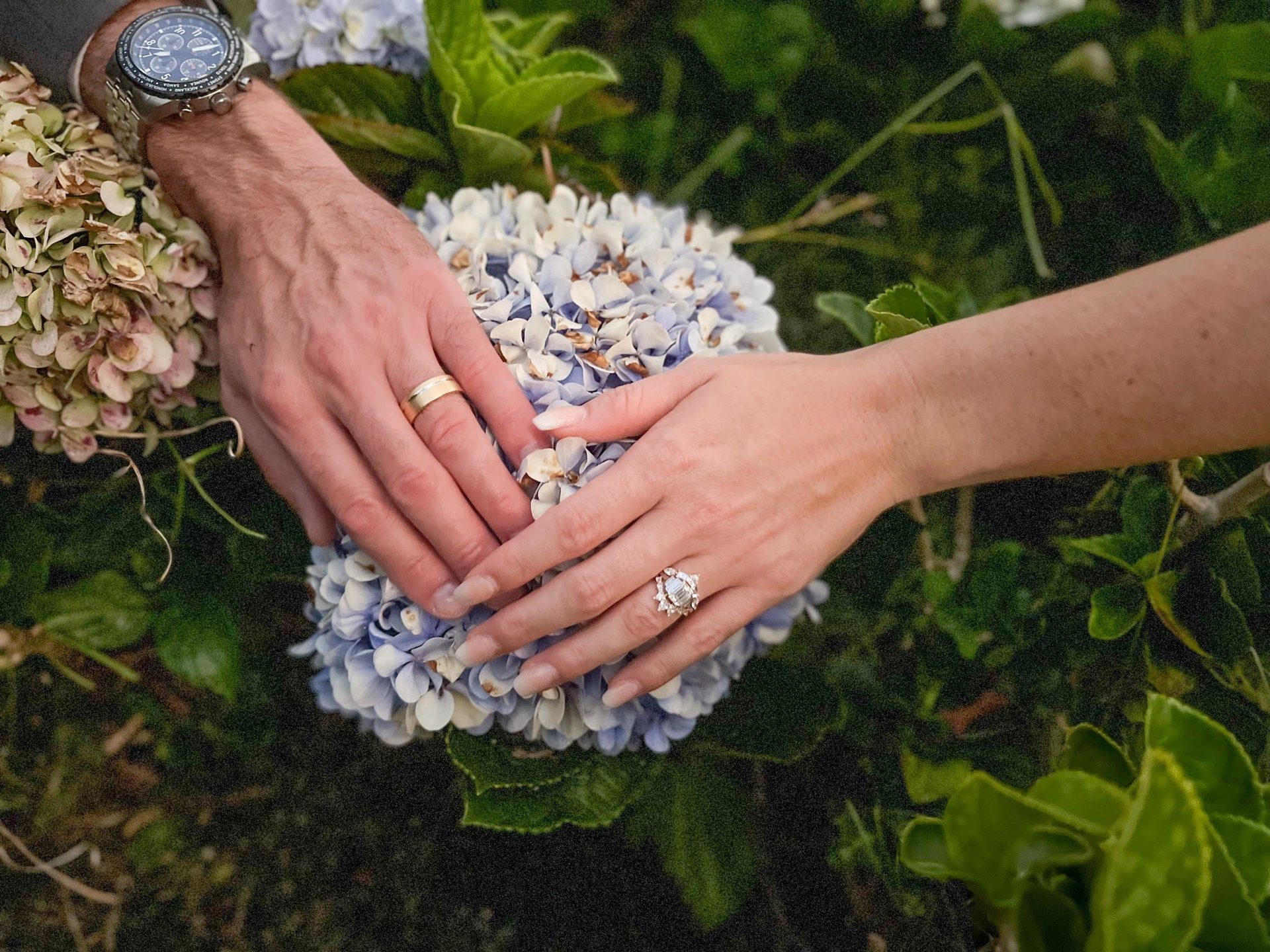 Couple’s hands with wedding rings on green foliage