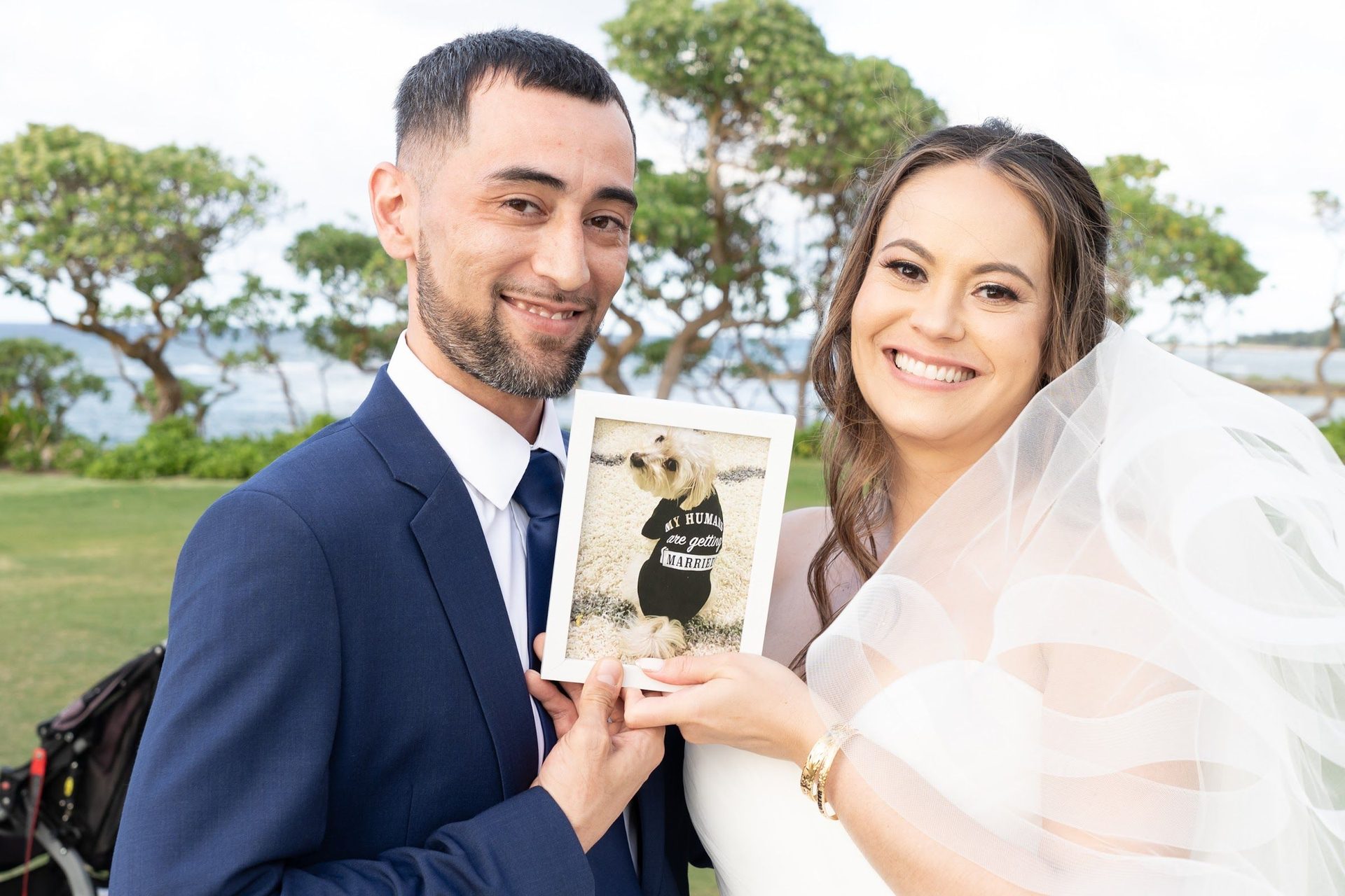Couple toasting with glasses during the reception